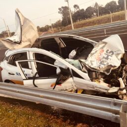Cavalo invade pista e provoca acidente com duas vítimas na SP-294