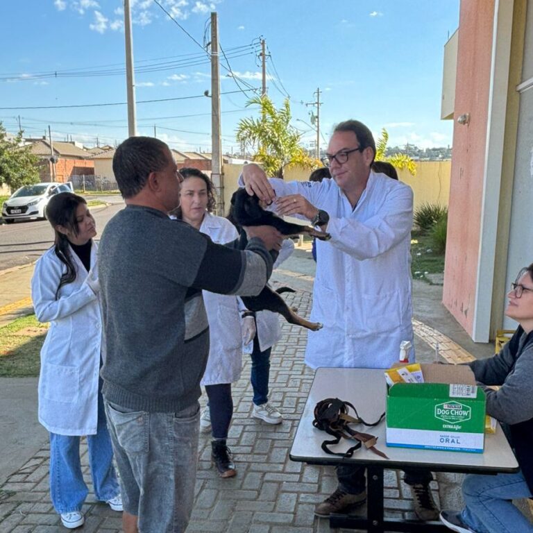 Marília vacina 381 animais em nova etapa da campanha antirrábica