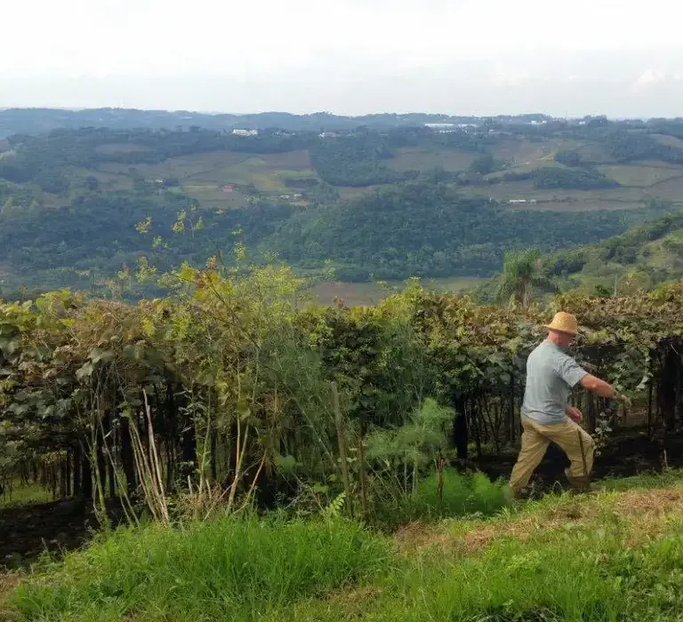 Entrega da declaração do ITR 2025 tem início nesta segunda-feira