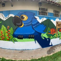 Graffiti no bosque retrata animais em extinção e promove educação ambiental