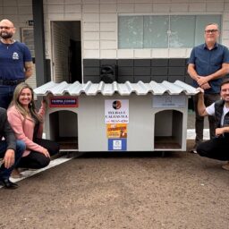 Parceria garante doação de casinhas para animais de rua em Marília