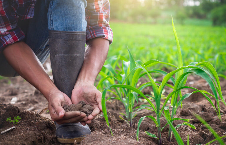 Produtores rurais têm até 31 de agosto para se inscrever no programa ALI Rural