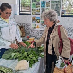 Feira Agroecológica tem oficinas, música e almoço no domingo em Marília