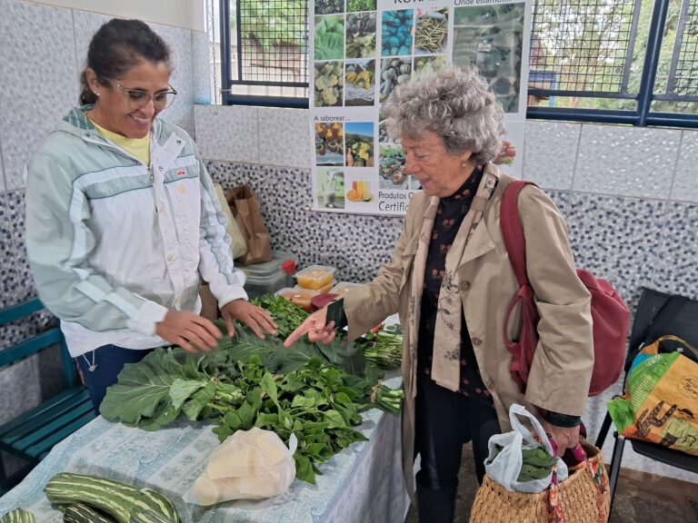 Feira Agroecológica tem oficinas, música e almoço no domingo em Marília