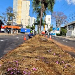Marília ganha força-tarefa para receber governador nesta sexta-feira
