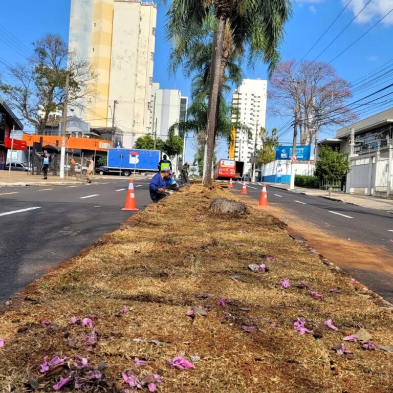 Marília ganha força-tarefa para receber governador nesta sexta-feira
