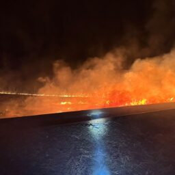 Incêndio destrói vegetação e alerta para época de queimadas