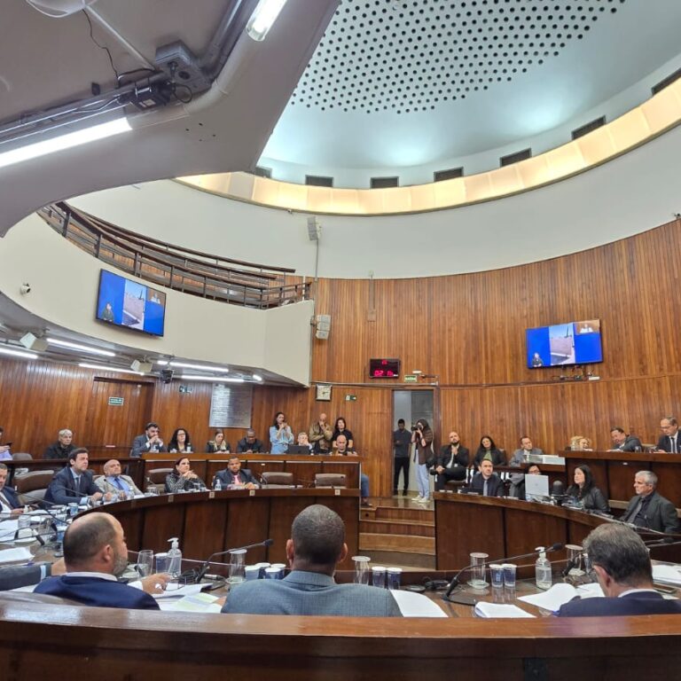 Vereadores aprovam projeto para instalação de banheiros químicos nas feiras em Marília