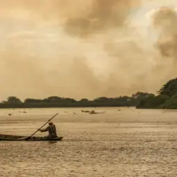 Julho tem menor área queimada dos últimos sete anos, aponta Monitor do Fogo