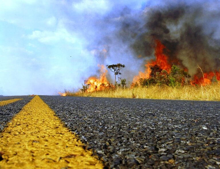 Incêndio atinge área à margem da rodovia SP-333