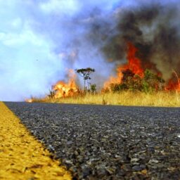 Incêndio atinge área à margem da rodovia SP-333