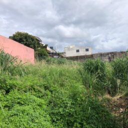 Prefeitura notifica donos de terrenos baldios e impõe multas por falta de limpeza