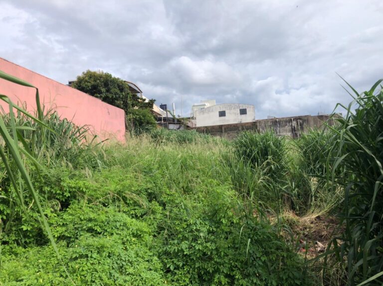 Prefeitura notifica donos de terrenos baldios e impõe multas por falta de limpeza