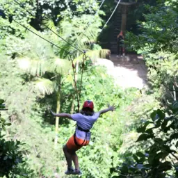 Gestores aprovam modelo de concessão de parques naturais e urbanos