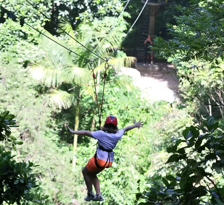 Gestores aprovam modelo de concessão de parques naturais e urbanos