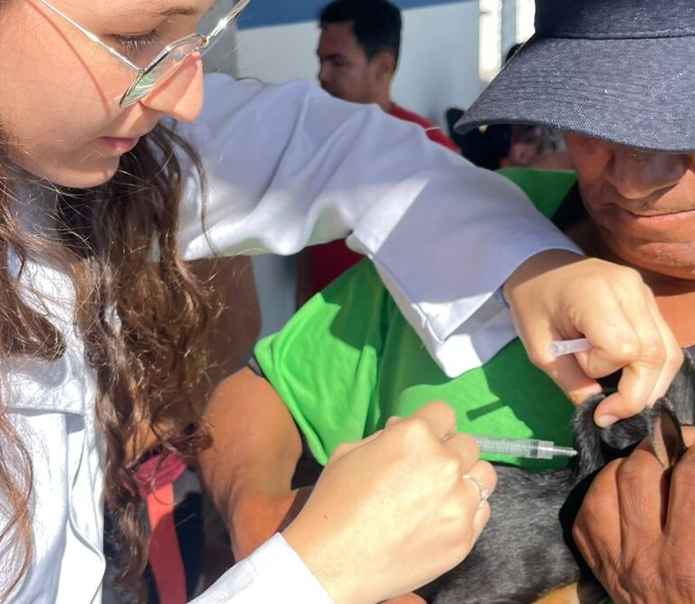 Vacinação antirrábica imuniza 600 animais em ações no Planalto e em Rosália