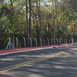 Prefeitura melhora passeio e coloca bancos na calçada do bosque municipal
