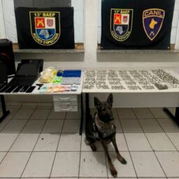 Polícia prende coletor na zona sul por receptação e posse irregular de arma