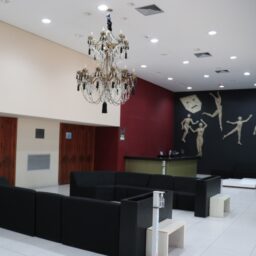 Palestra sobre autismo é realizada nesta terça-feira no teatro de Marília