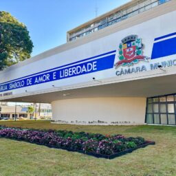 Marília cria lei para fornecer sensores de glicose para crianças