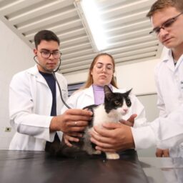 Unimar celebra Dia do Médico Veterinário e destaca 38 anos de pioneirismo no curso