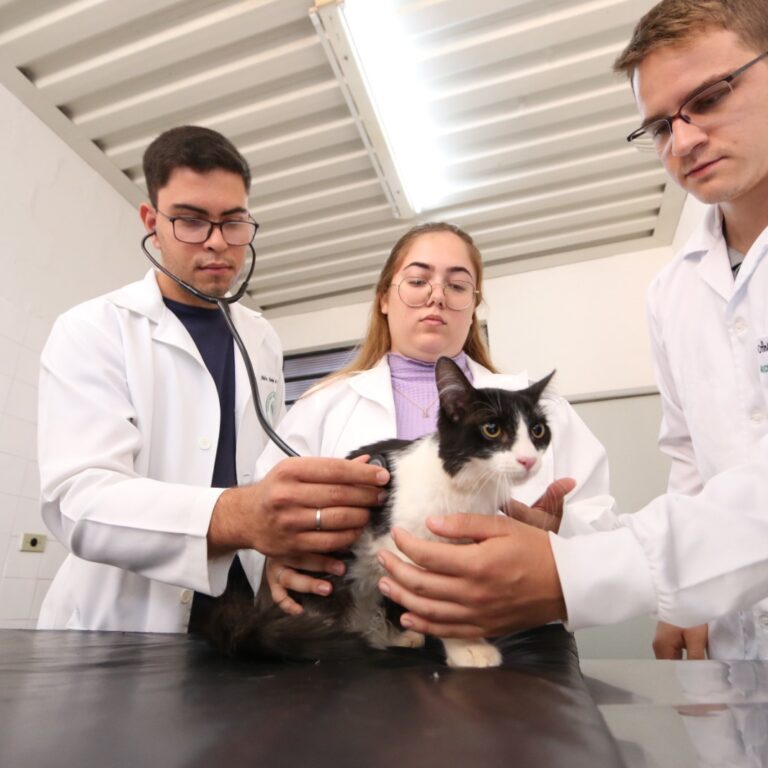 Unimar celebra Dia do Médico Veterinário e destaca 38 anos de pioneirismo no curso