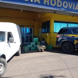 PRF apreende mais de 340 quilos de maconha na rota sul da Transbrasiliana