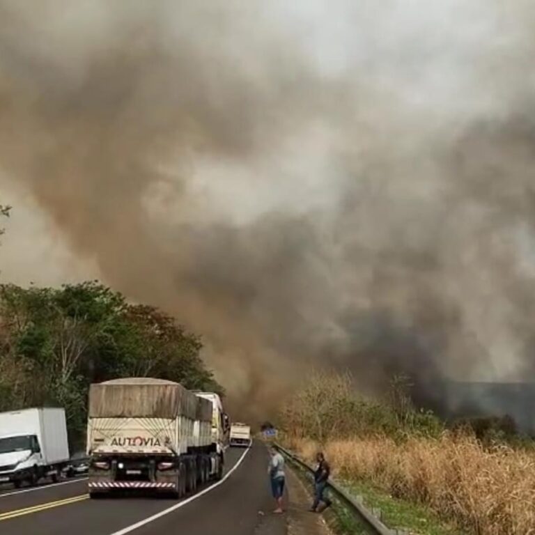 Incêndio atinge vegetação e interdita rodovia entre Marília e Oscar Bressane