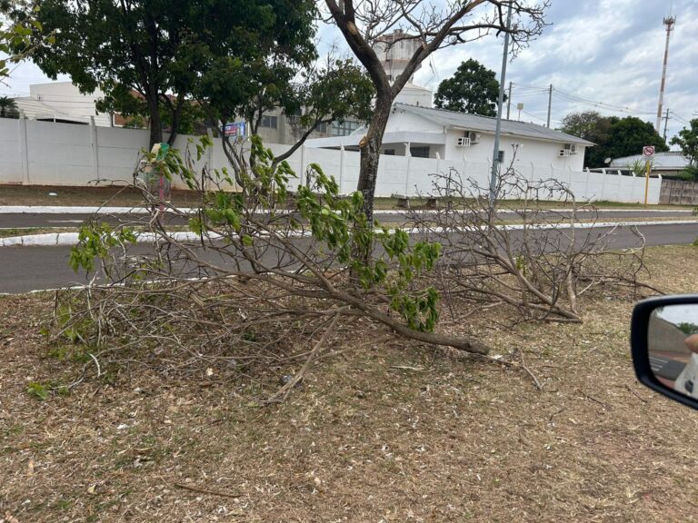 Prefeitura de Pompeia diz que podas na ferrovia são responsabilidade da Rumo