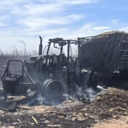 Fazendeiro é multado em mais de R$ 1,2 milhão por incêndio vira alvo da polícia e foge