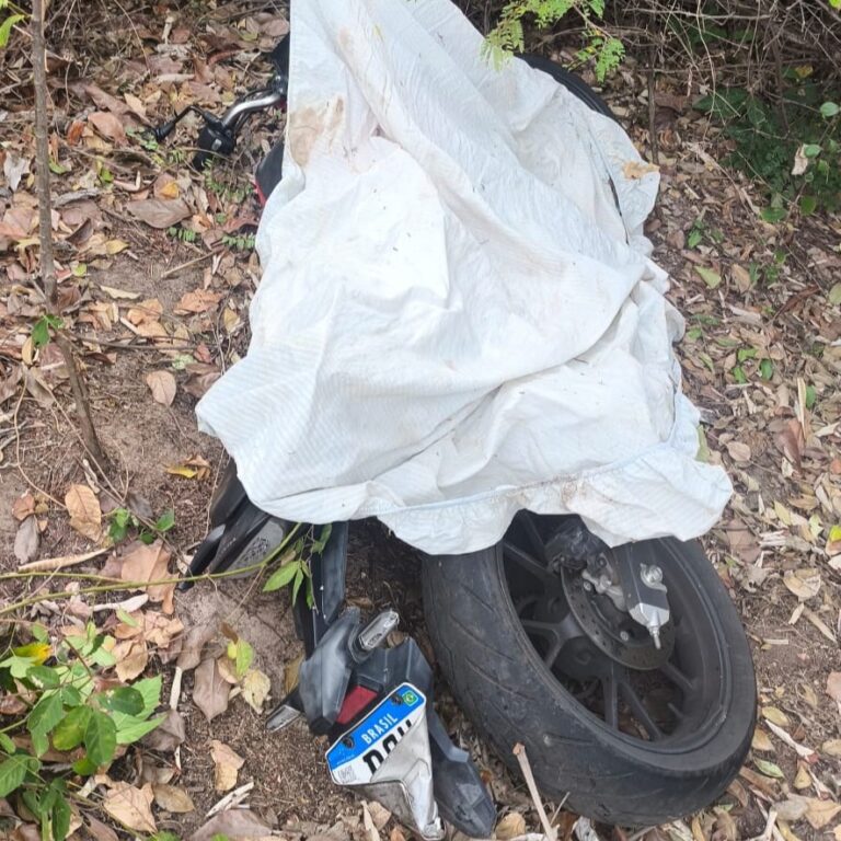 Motocicleta de 300 cilindradas furtada na zona sul é recuperada em área de mata