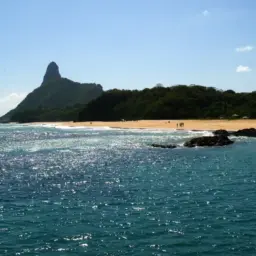 Ilhas brasileiras: estudo de escalas revela presença de espécies exclusivas