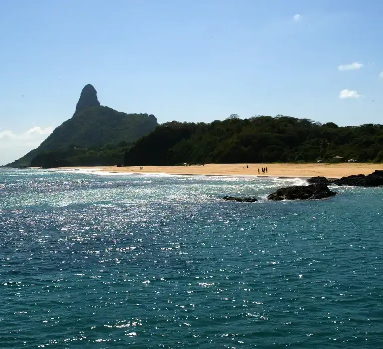 Ilhas brasileiras: estudo de escalas revela presença de espécies exclusivas