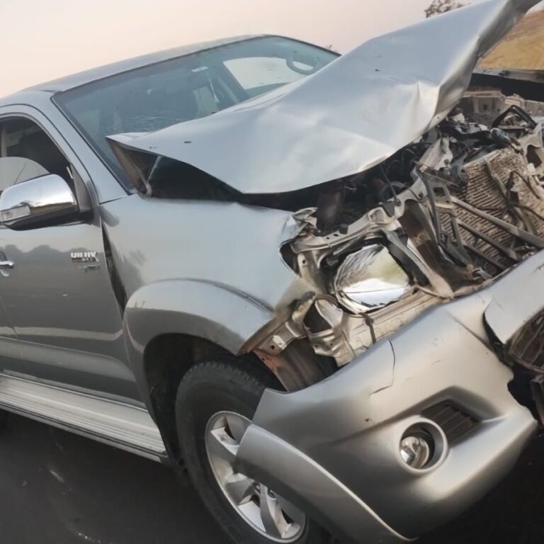 Caminhonete atinge boiada na SP-294 e colisão mata cinco animais