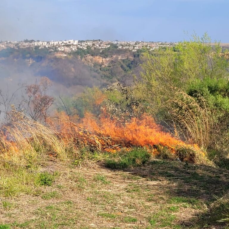 Marília pode registrar calor de até 40°C; risco de queimadas aumenta
