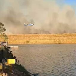 Incêndio atinge fazenda de eucalipto em Garça e mobiliza helicóptero