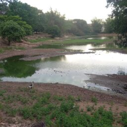 Estiagem seca lago, agrava queimadas e eleva riscos à saúde em Marília