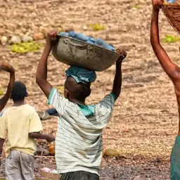 Brasil tem redução recorde na lista Piores Formas de Trabalho Infantil