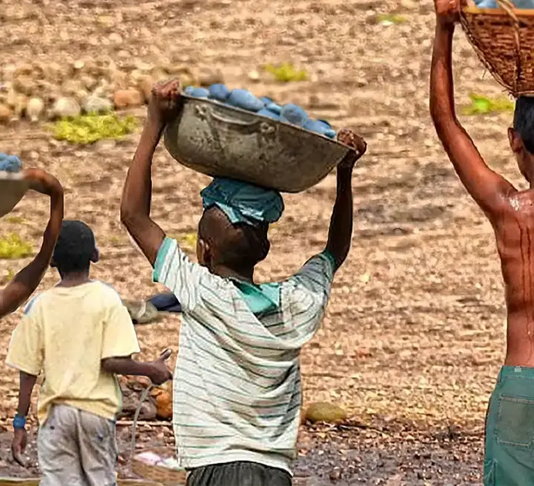 Brasil tem redução recorde na lista Piores Formas de Trabalho Infantil