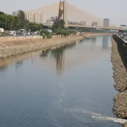 Rio Tietê continua vulnerável apesar de redução da mancha de poluição