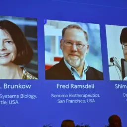 Prêmio Nobel de Medicina em 2025 vai para cientistas americanos e japonês