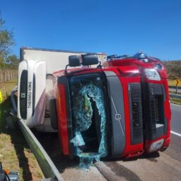 Caminhão com 13 toneladas de pão congelado tomba na SP-294 em Gália