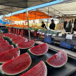 Feira livre de quinta estreia na avenida das Indústrias
