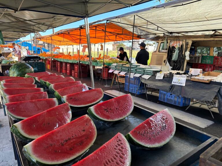 Feira livre de quinta estreia na avenida das Indústrias