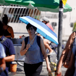 Mortes causadas pelo calor podem dobrar e afetar principalmente idosos