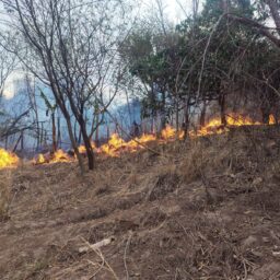 Homem morre tentando combater incêndio em Amadeu Amaral