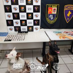 Homem é preso com mais de mil porções de drogas em Marília