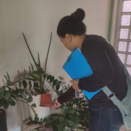 Ação contra o aedes aegypti visita mais de 900 imóveis no Jardim Renata