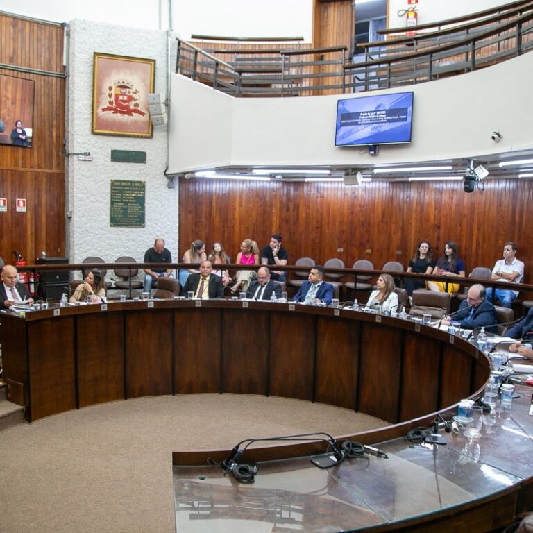 Câmara aprova projetos sobre TDAH, doação de sangue e golpes a idosos