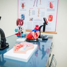 Aprovados no Vestibular 2026 garantem 50% de bolsa integral na Católica Paulista